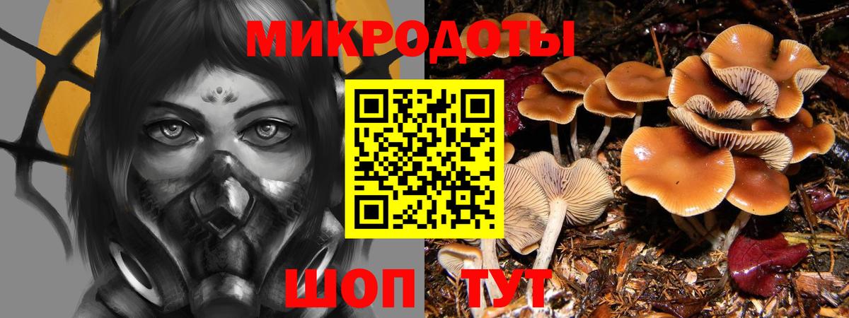 Псилоцибиновые грибы Ноябрьск