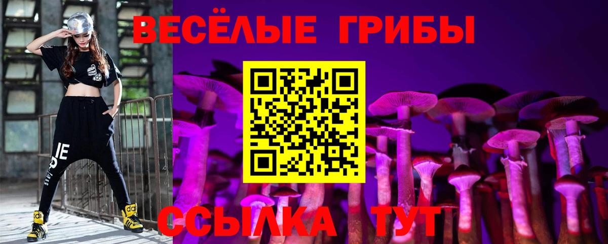 Ноябрьск  магазин  наркотиков  Вход с VPN  Галлюциногенные грибы прущие грибы 